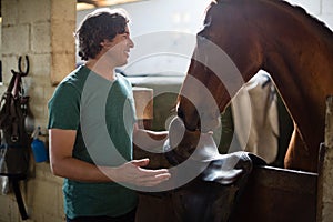 Man caressing the brown horse in the stable