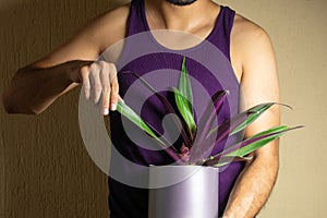 man caring for a potted plant for decoration, indoor plant concept