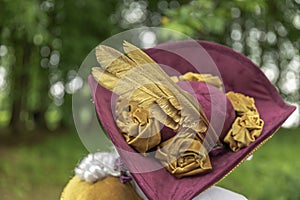 Man in a carnival hat from the back in Venice costume in Annevoie gardens, Belgium