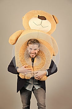 Man carries giant teddy bear on neck, grey background. Birthday gift concept. Teddy bear plush toy pleasant surprise