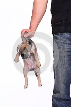Man carrying a dog