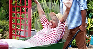 Man carrying happy senior woman in the wheel barrow