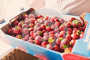 Man carrying a large box of strawberries