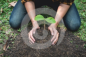 Man carrying a seedling in two hands and planting into the soil in the garden while reforestation