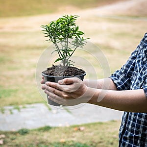 Man carrying young sprout tree in two hands and protection new generation seedling to preparing transplant