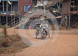 Man with cart, Tonle Sap, Cambodia