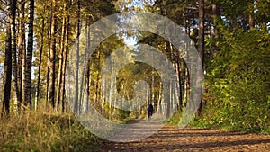 Man in casual wears riding bicycle in autumn park