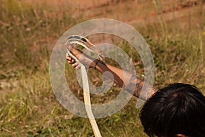 A man catch a cobra by hand