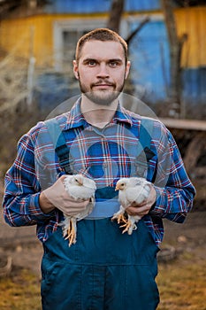 A man caucasian farmer satisfied portrait in a shirt and overalls, holds a two dwarf white chickens close up in his hands poultry