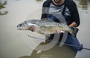 Man caught salmon fish holding it