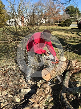 Man with a chain saw cutting up a fallen tree limb for firewood