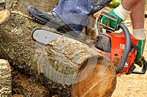 Man with chainsaw cutting the wooden log