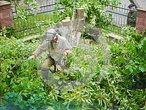 Man with a chainsaw in the foliage. sneaks through the logs to another object