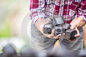 Man in a checkered shirt holding cubes of charcoal briquettes