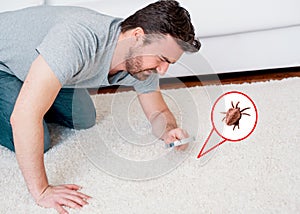 Man checking for carpet dust mites and bug parasites