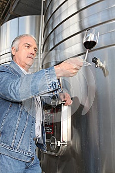 Man checking a glass of wine