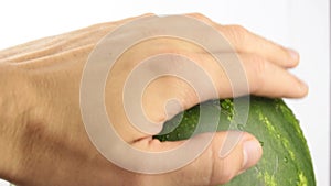 The man checks the ripeness of the watermelon, taps his fingers on it.