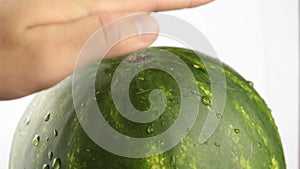 The man checks the ripeness of the watermelon, taps his fingers on it.