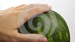 The man checks the ripeness of the watermelon, taps his fingers on it.