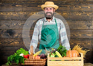 Man cheerful bearded farmer near vegetables wooden background. Farmer straw hat presenting fresh vegetables. Farmer with