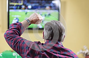 Man cheers for team while watching football game on TV