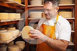 man cheesemaker in the cellar, beautiful wooden shelves with a