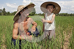 Man and child in the rice paddy, Thailand