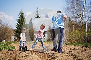 Man, children, kids dig soil, land with shovel, make garden beds for spring planting of potatoes. Good harvest. Family farming,
