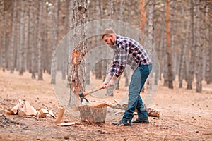 A man chopping wood in an forest. Outdoors.