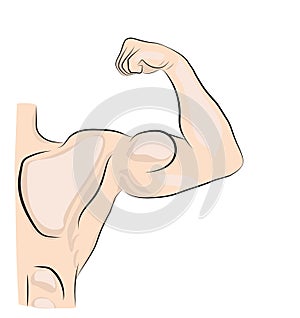 A man with a clasped hand shows his bicep. doing sports. body care. vector illustration.