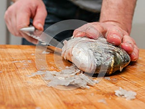 Man cleaning fresh sea bream on a wooden board with knife holding fish by it head. Descaling stage