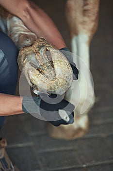 Man cleaning horse hoof