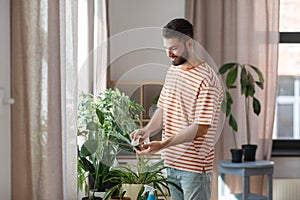 man cleaning houseplant with tissue at home