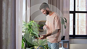 man cleaning houseplant with tissue at home