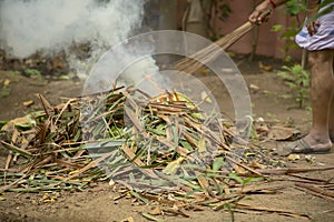 Man cleaning lawn in backyard under a tree Burning garbage. grass and leaves burns in the garden. Fire and Smoke