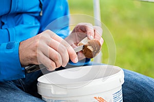 Man cleaning a young porcini