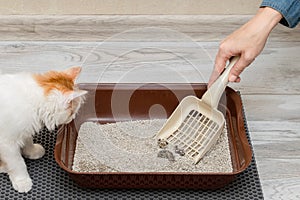 man cleans the cat litter box with a shovel