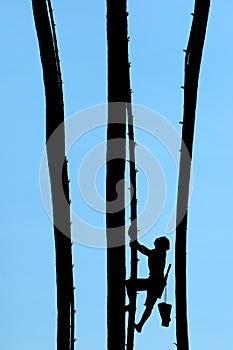 Man climb silhouette