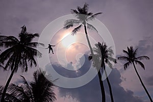 Man climbing coconut tree.