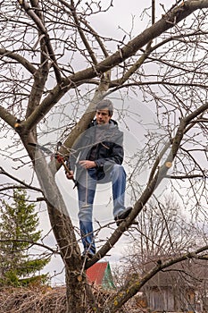 Man climbing high on an apple tree with pruner against sky. Pruning of fruit trees with lopper. Spring or autumn work in garden.