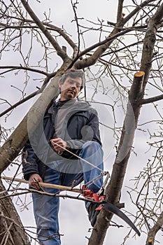 Man climbing high on an apple tree with pruner against sky. Pruning of fruit trees with lopper. Spring or autumn work in garden.