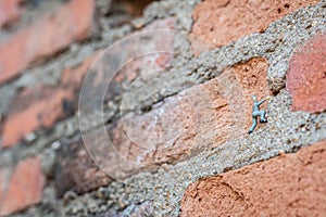 Man climbing on a red brick