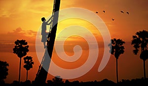 Man climbing a sugar palm tree