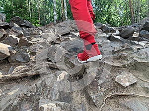 man climbs uphill in forest. mountain rocky path. man climbs the hill