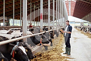 Man with clipboard and cows at dairy farm cowshed