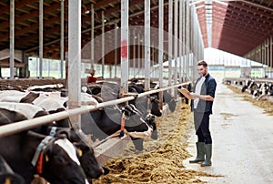 Man with clipboard and cows at dairy farm cowshed photo