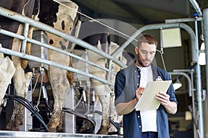 Man with clipboard and milking cows on dairy farm