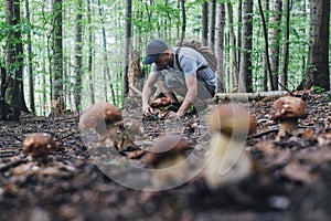 Man collect mushrooms