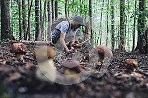 Man collect mushrooms