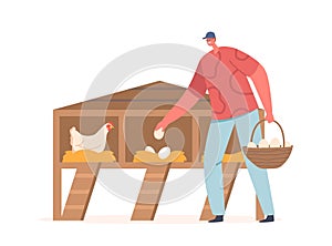 Man Collecting Eggs On Chicken Livestock Farm. Farmer Character Picking Up Eggs From Coop, Depicting Agricultural Work